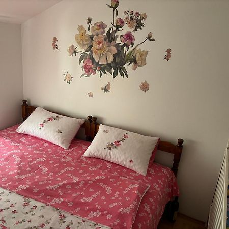 Elena Apartment Плужине Экстерьер фото